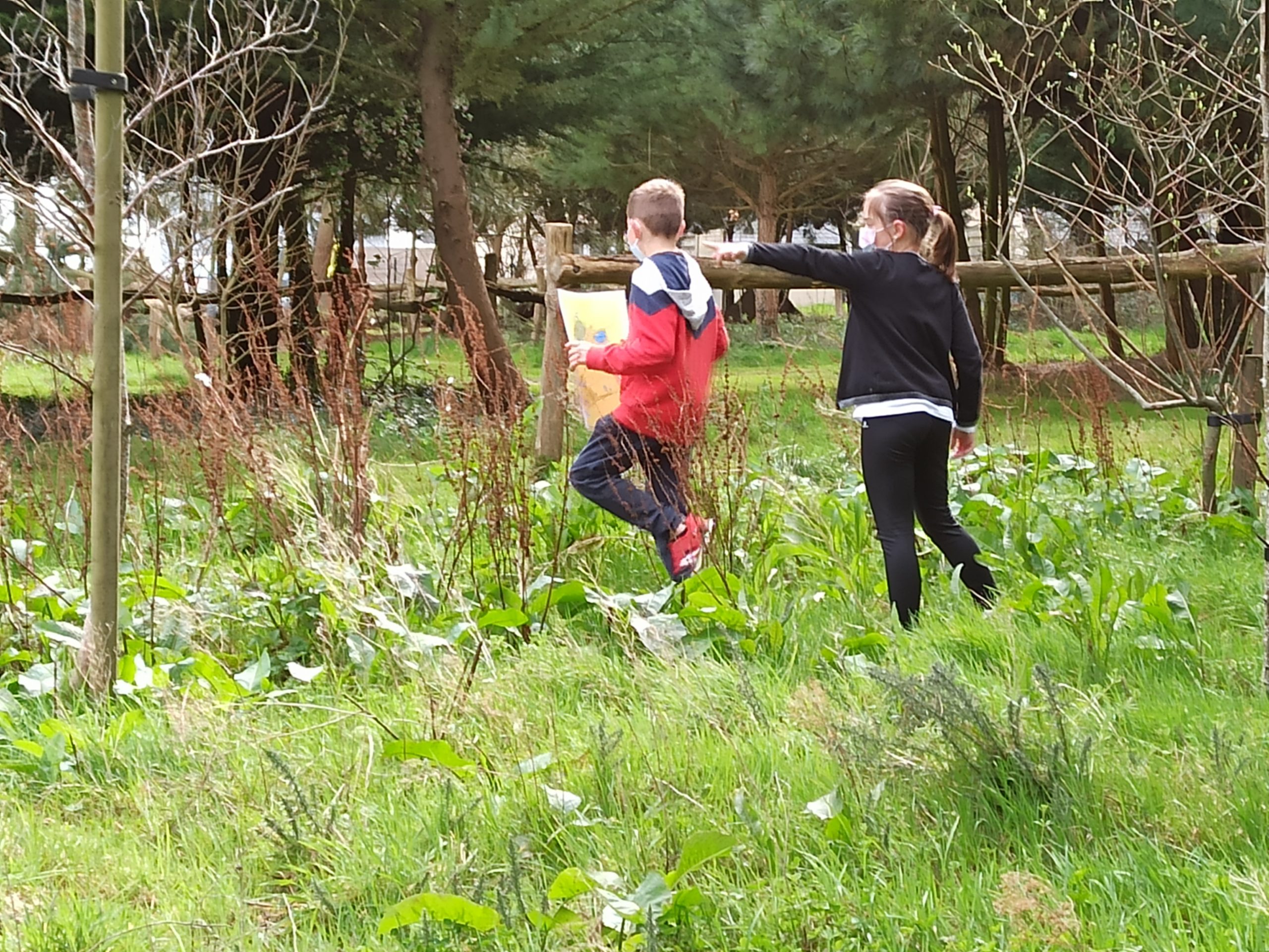 Course d'orientation Ecole NotreDame de Langueux