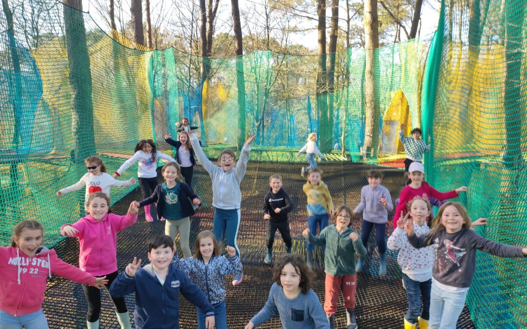 Sortie pédagogique à l’école de la nature